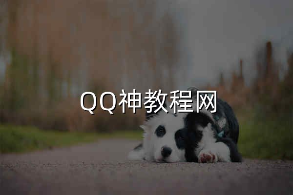 QQ神教程網 - 專注分享網絡活動資訊,提供軟件源碼下載 - 一切只為你而存在  - 官網預覽