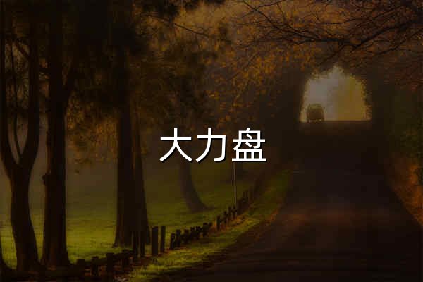 大力盤 - 網盤搜索引擎 - 官網預覽