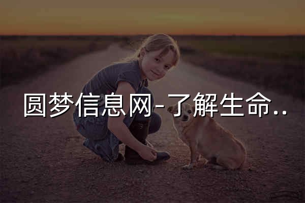 圓夢信息網(wǎng)-了解生命從此開始  - 官網(wǎng)預(yù)覽