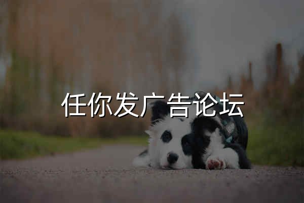 任你發廣告論壇 -網站推廣|網絡推廣|廣告論壇 - 官網預覽