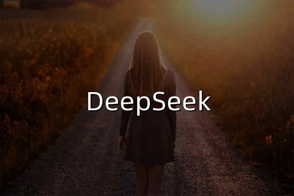 DeepSeek | 深度求索 - 官網(wǎng)預(yù)覽