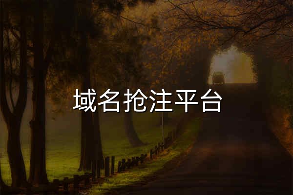 域名搶注平臺_域名交易買賣_過期域名查詢工具 - 牛大米 - 官網預覽