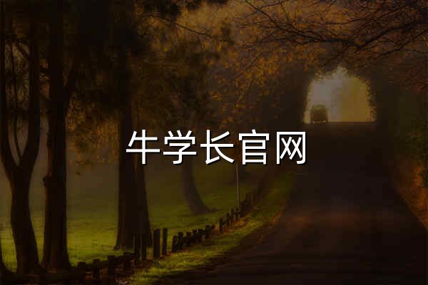 牛學(xué)長(zhǎng)官網(wǎng)_專業(yè)提供iOS/Android/Windows/Mac系統(tǒng)修復(fù),數(shù)據(jù)備份,數(shù)據(jù)傳輸數(shù)據(jù)恢復(fù),磁盤分區(qū),重復(fù)文件刪除,文件修復(fù)等軟件工具下載 - 官網(wǎng)預(yù)覽