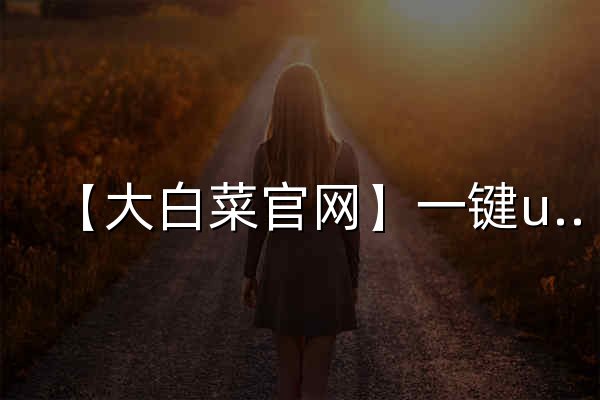 【大白菜官網】一鍵u盤裝系統(tǒng)_u盤啟動盤裝系統(tǒng)制作工具_u盤winpe裝系統(tǒng) - 官網預覽