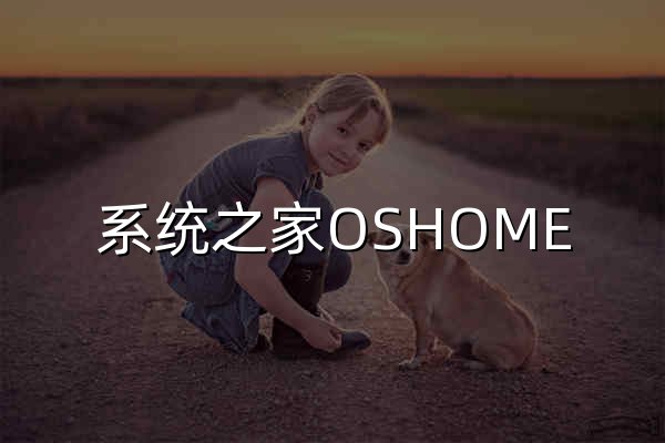 系統之家OSHOME - 為您打造全網優秀的系統網站！ - 官網預覽